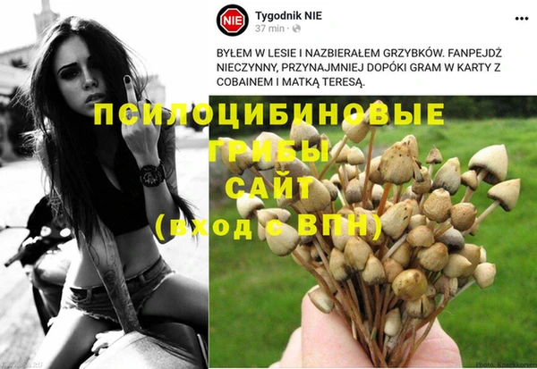 МДМА Майский