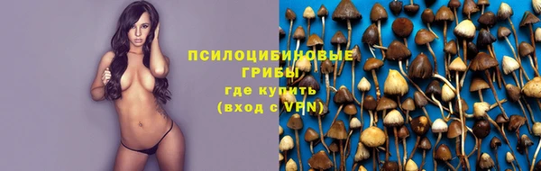 гидра Магадан