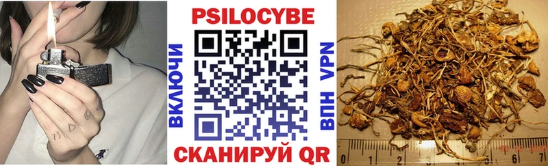 как найти закладки Находка Псилоцибиновые грибы мицелий